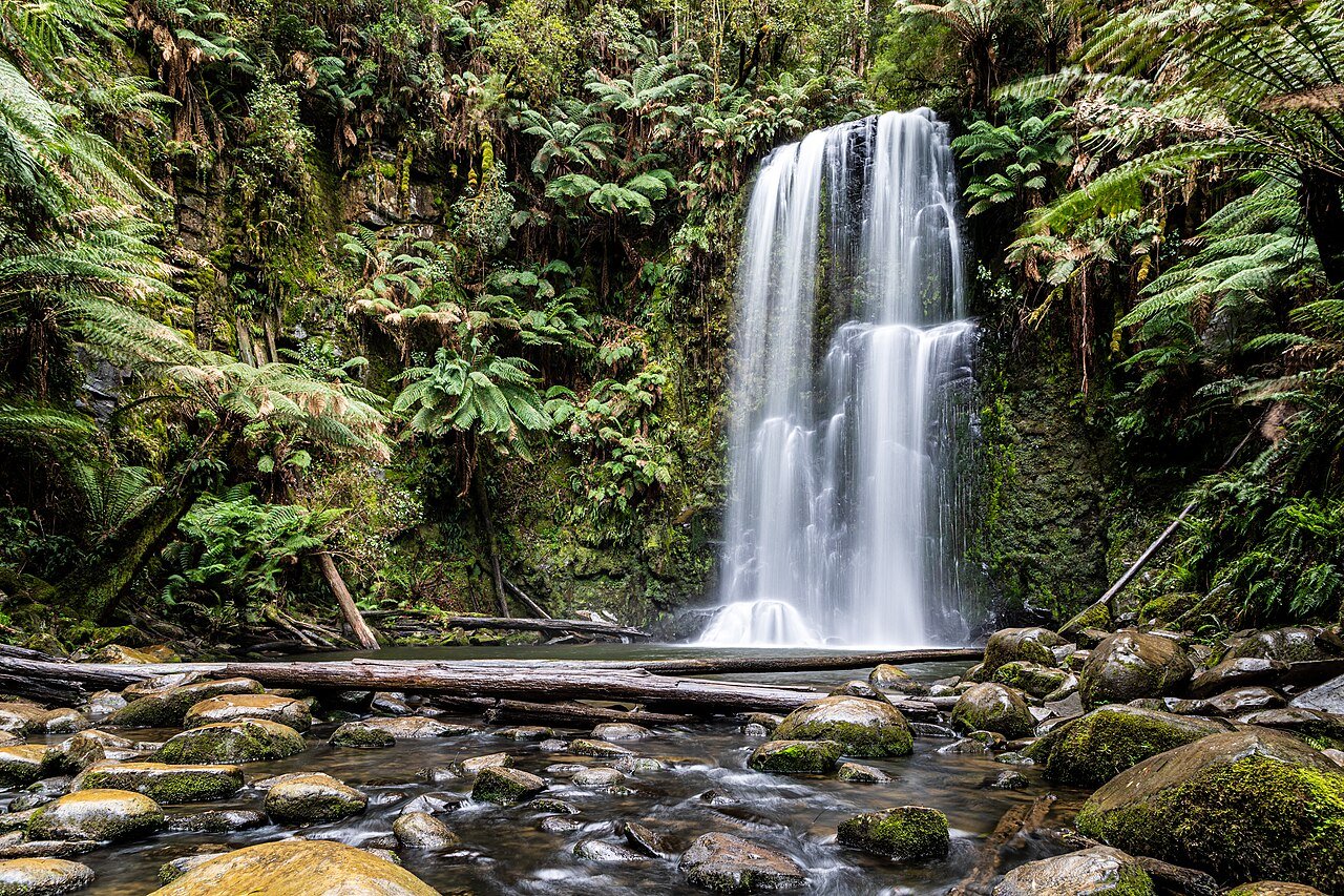 Beech Forest (AU), Great Otway National Park, Beauchamp Falls -- 2019 -- 1271
