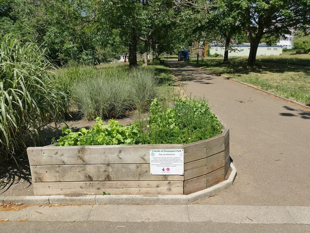 Community vegetable garden in Devonport Park - geograph.org.uk - 7612121