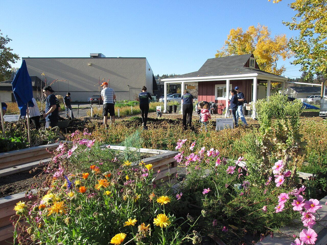 Parkdale Community garden volunteer day