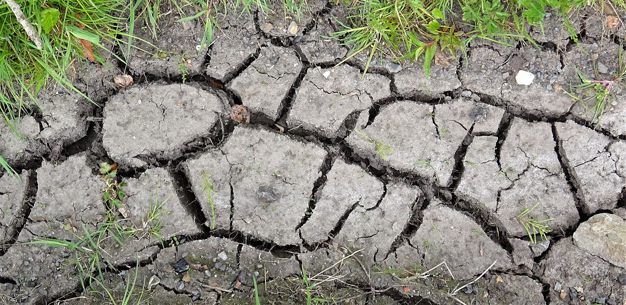 Cracked dry earth illustrating Lancet Countdown 2026 report findings on drought and heat deaths and climate change